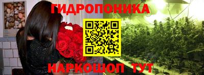 2c-b Кулебаки