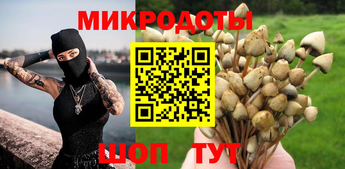 Псилоцибиновые грибы мухоморы  Псилоцибиновые грибы Magic Shrooms  купить  сайты  Калуга  Вход с VPN 